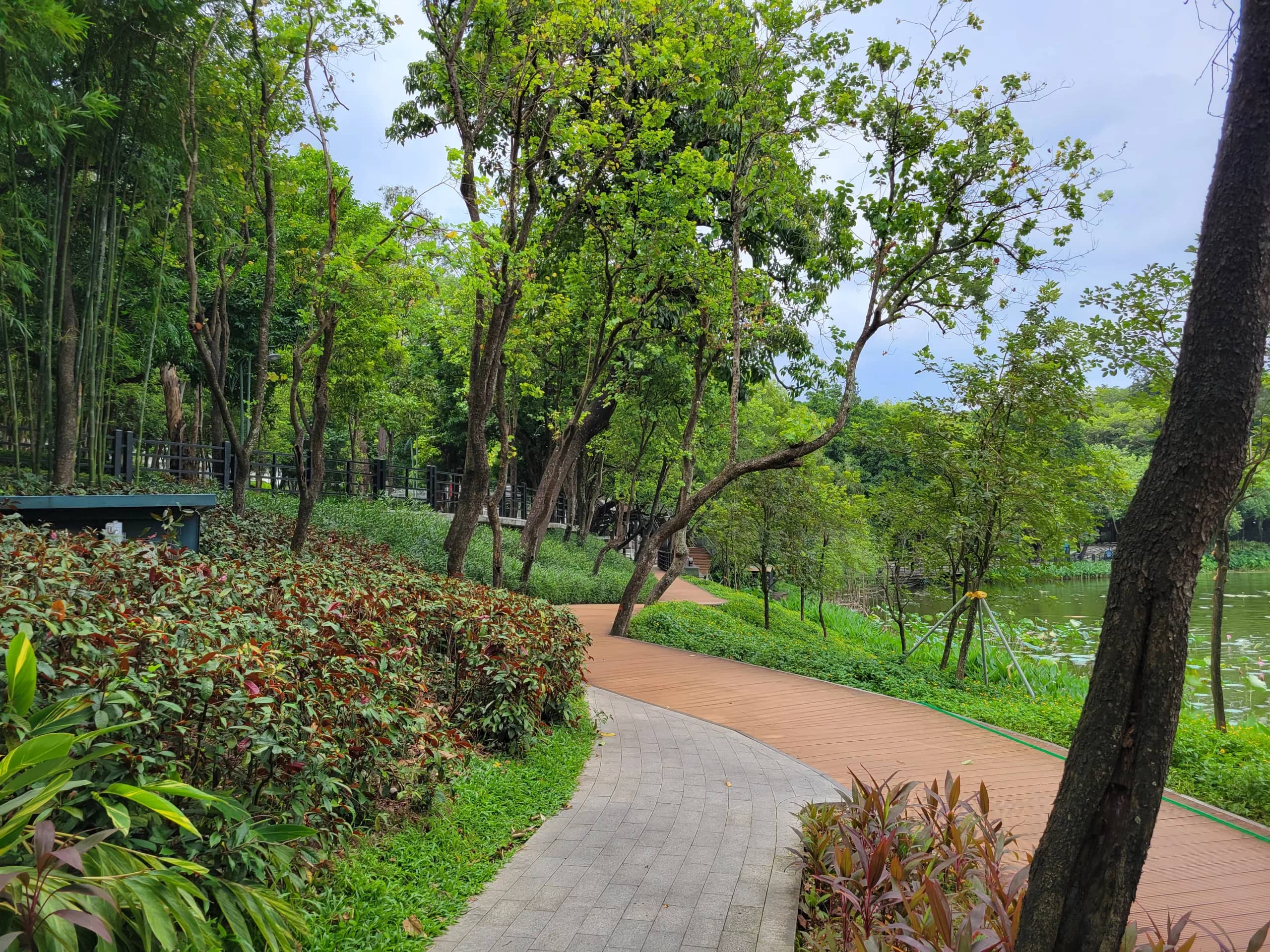 Greenery and Wildlife