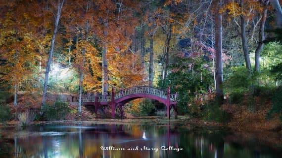 Serene Water Reflections