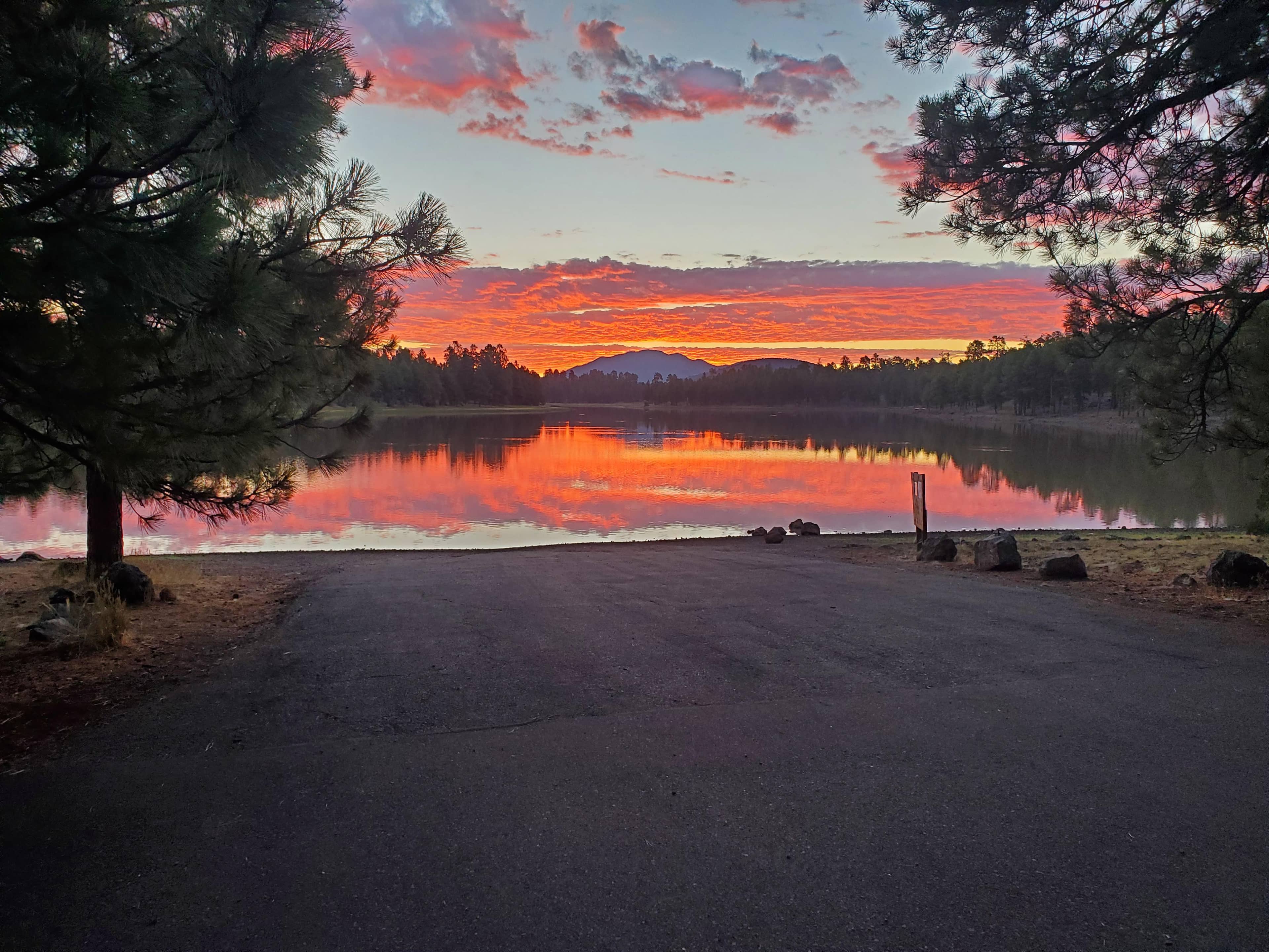 Peaceful Morning Views