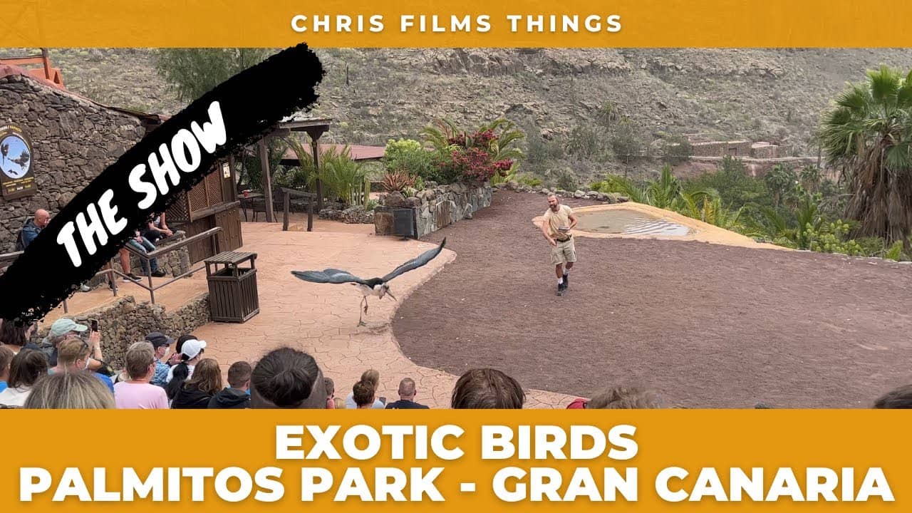 Exotic Bird Show