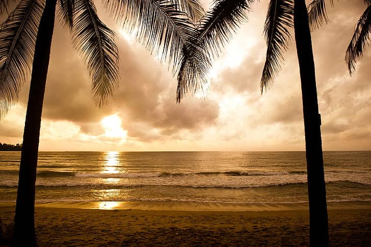 Sunset Serenity