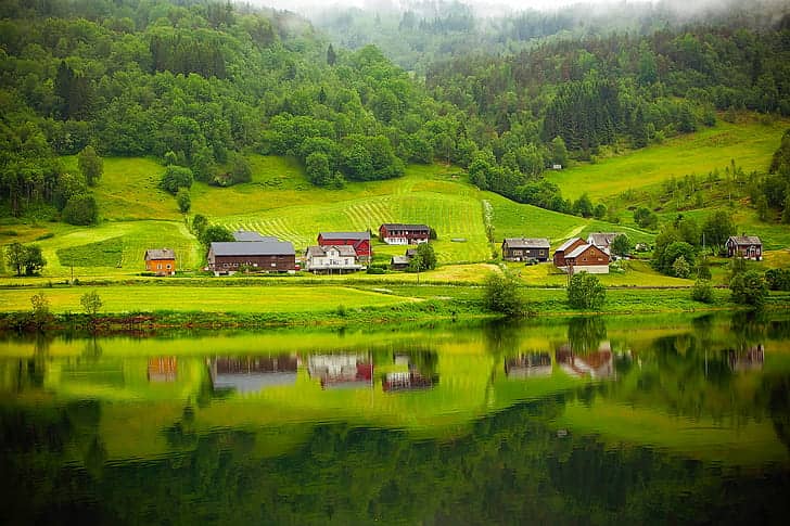 Sustainable Farm Delights