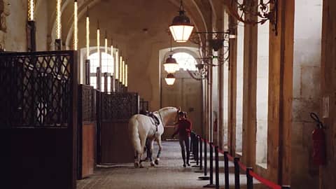 The Royal Stables Tour