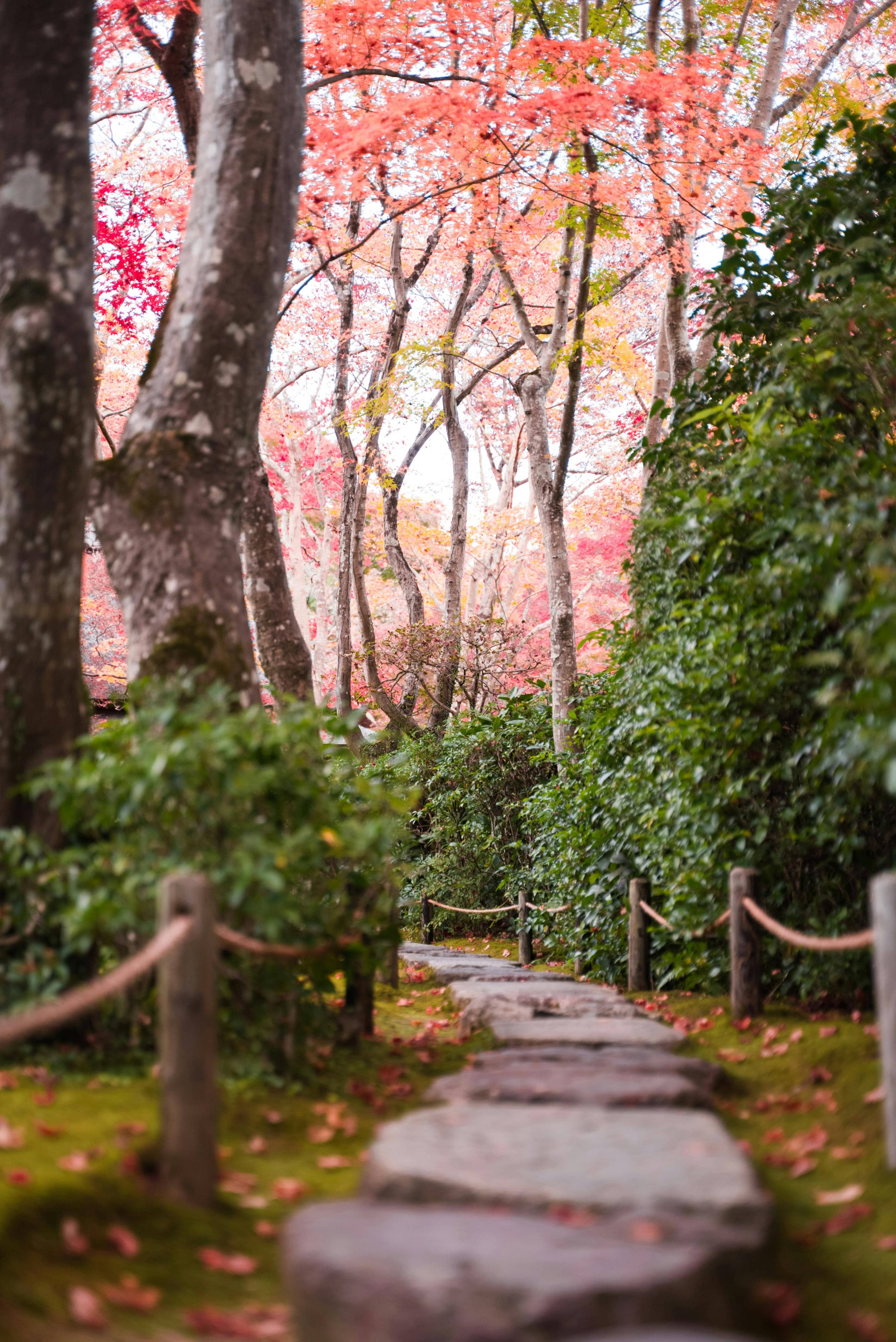 Expansive Lawns & Paths