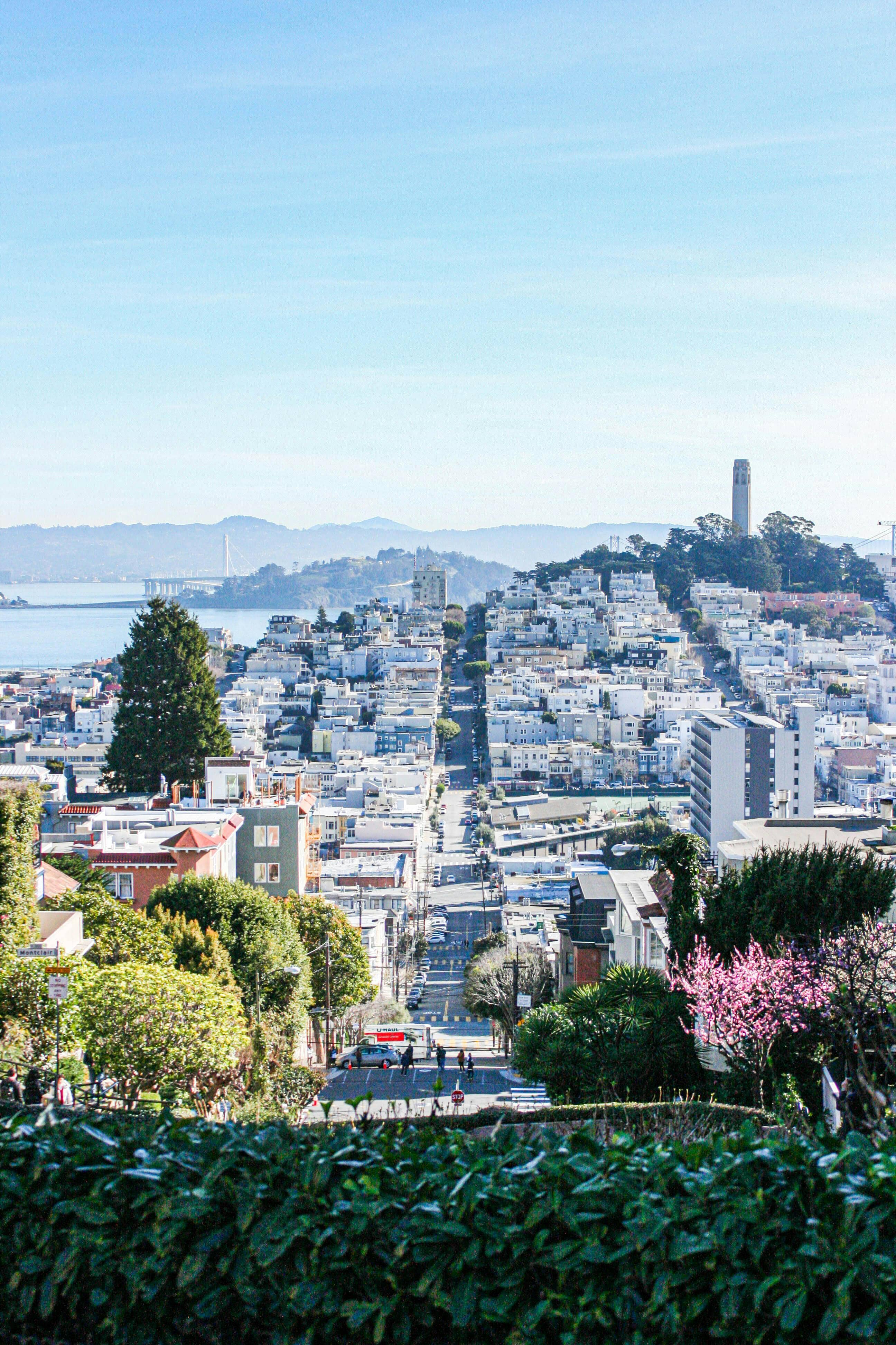 Panoramic City Views
