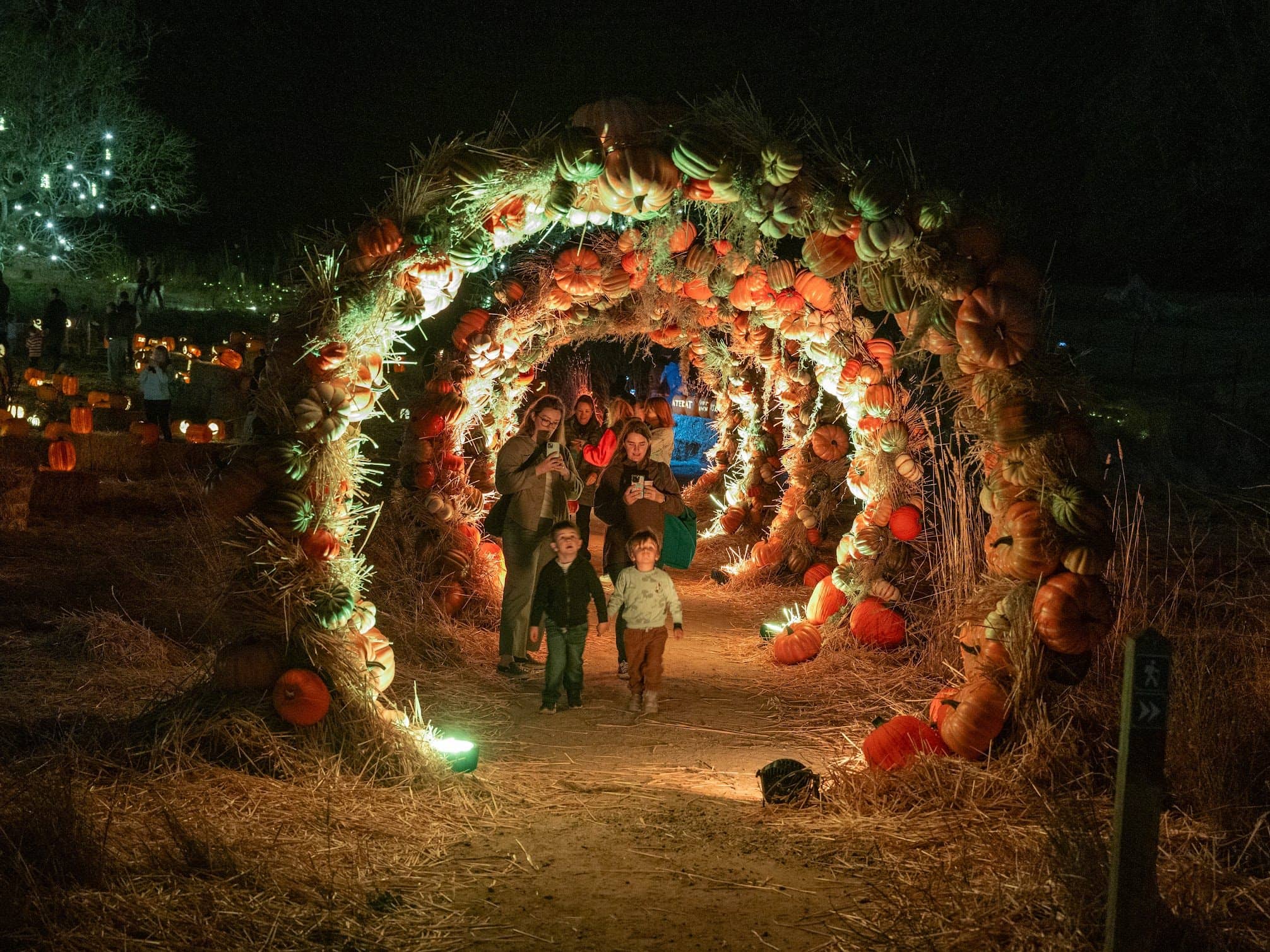 Seasonal Exhibits & Events