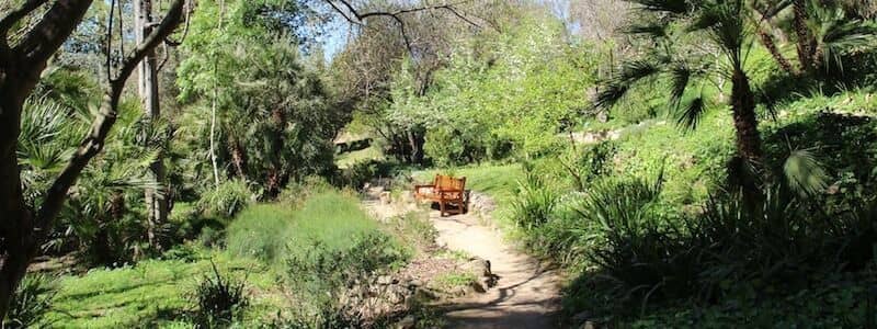 Unique Microclimate Flora