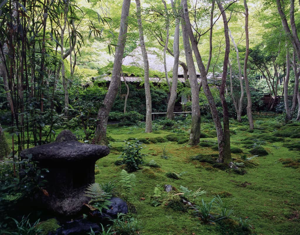 Moss Temple (Gioji Temple)