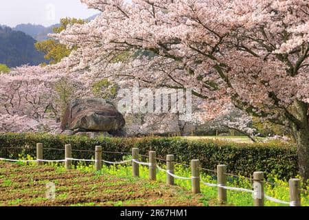 Peaceful Surroundings
