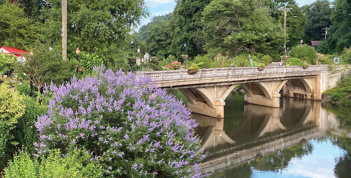Flowering Bridge