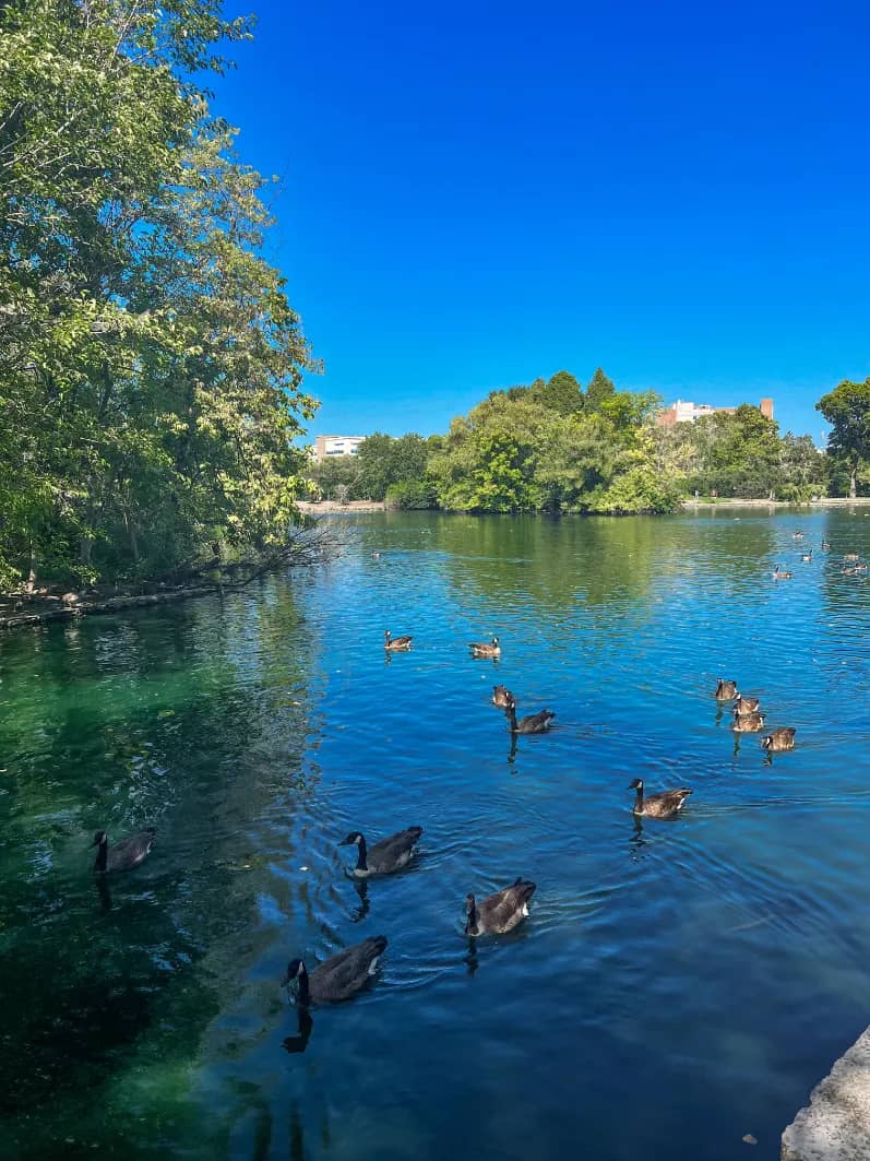 Lakeside Relaxation