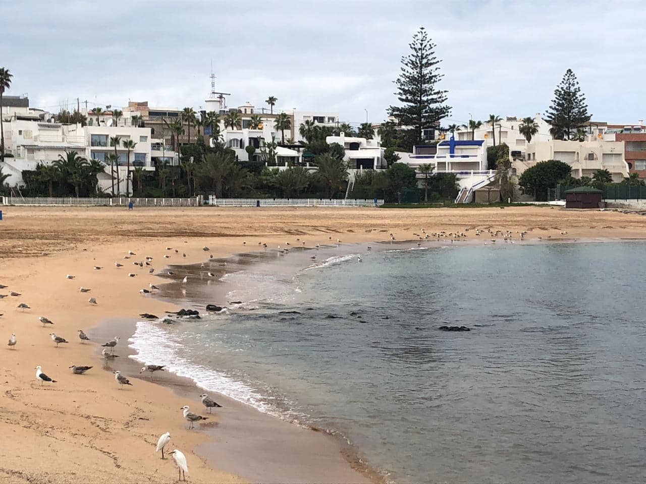 Plage Sid El Abed