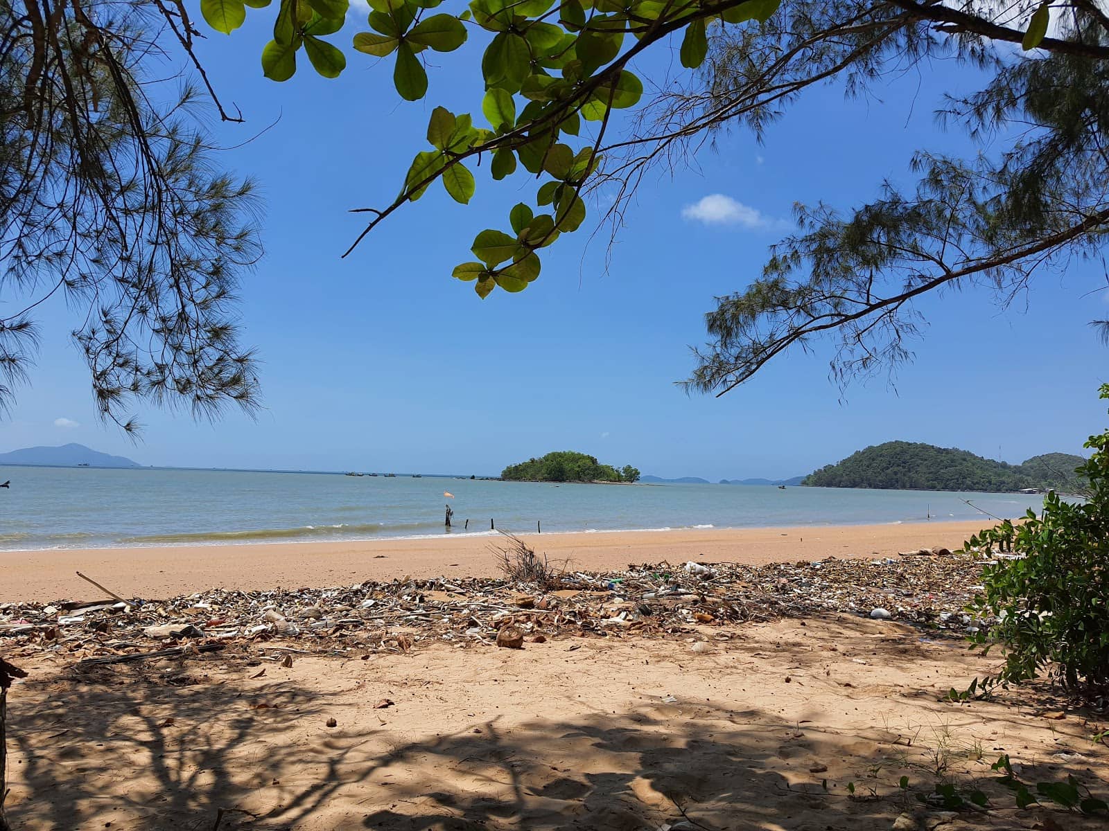Lush Beachfront Park