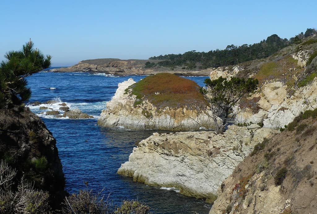 Bird Island Trail