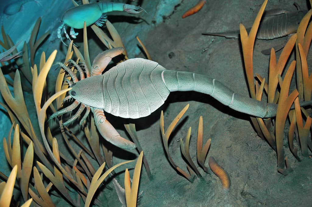 Aquatic Life Exhibits
