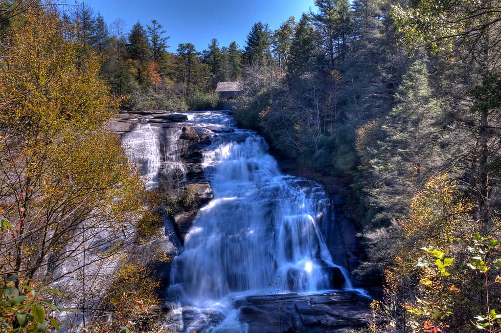 Scenic Hiking Trails