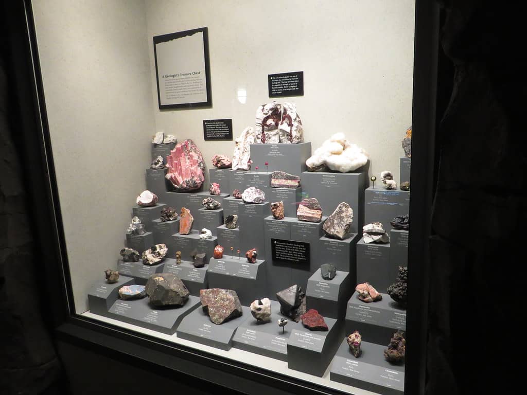 Fossil and Mineral Collections