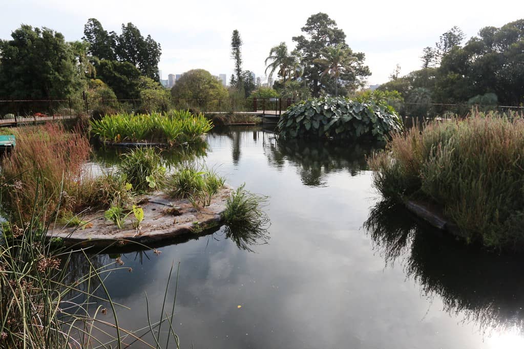 Central Lake