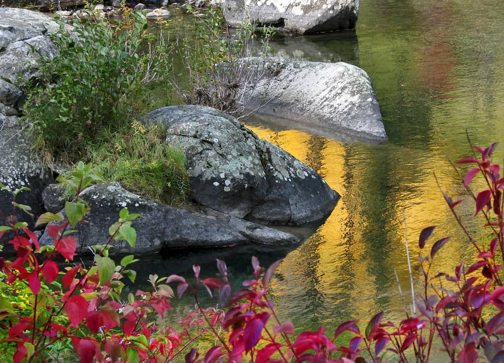 Fall Foliage Spectacle