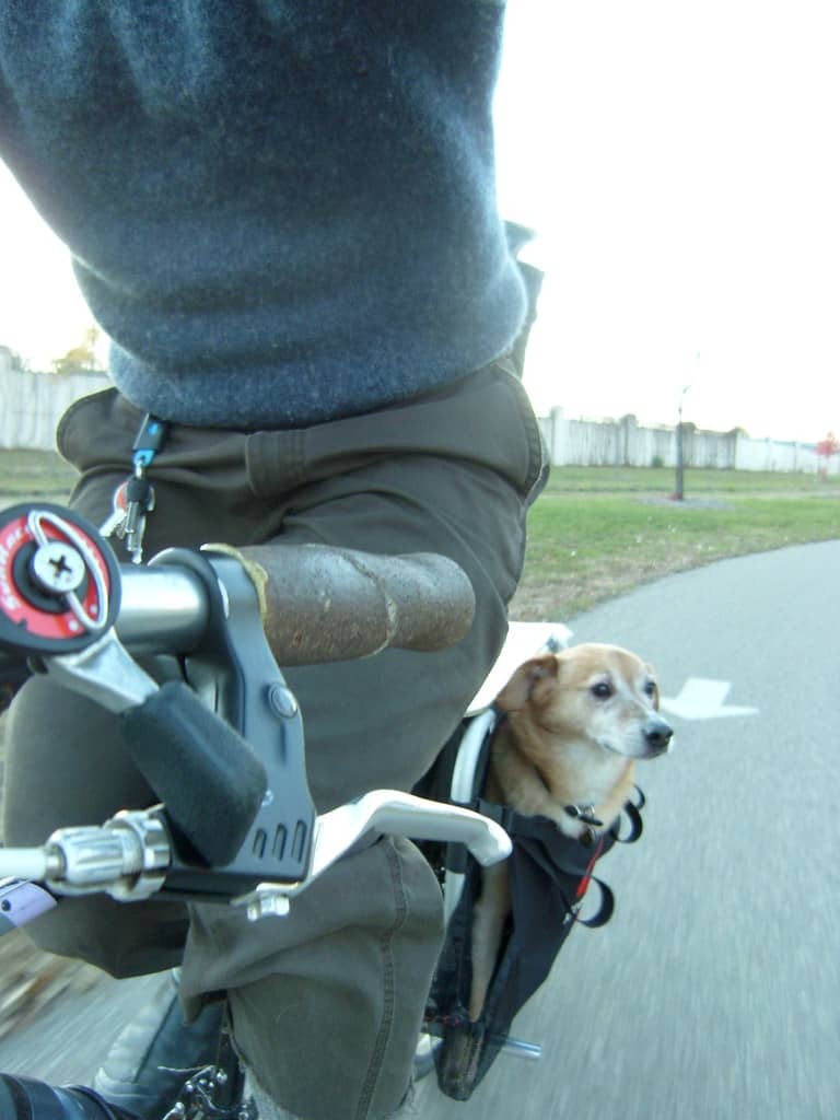 Dog-Friendly Off-Leash Park