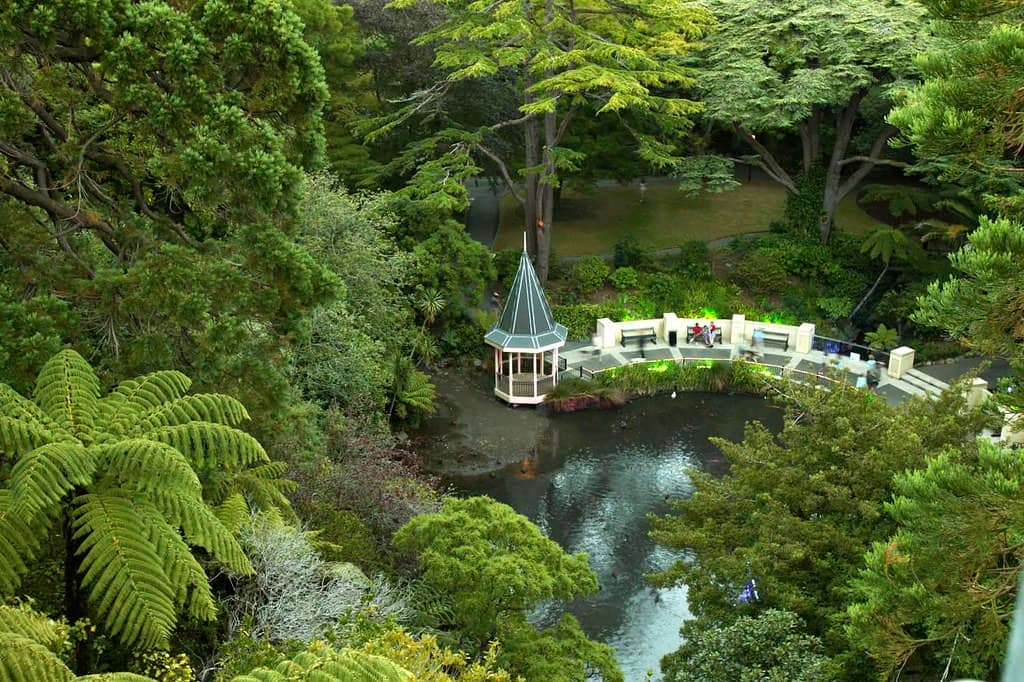 Wellington Botanic Garden Views
