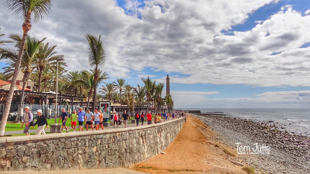 Scenic Seaside Promenade