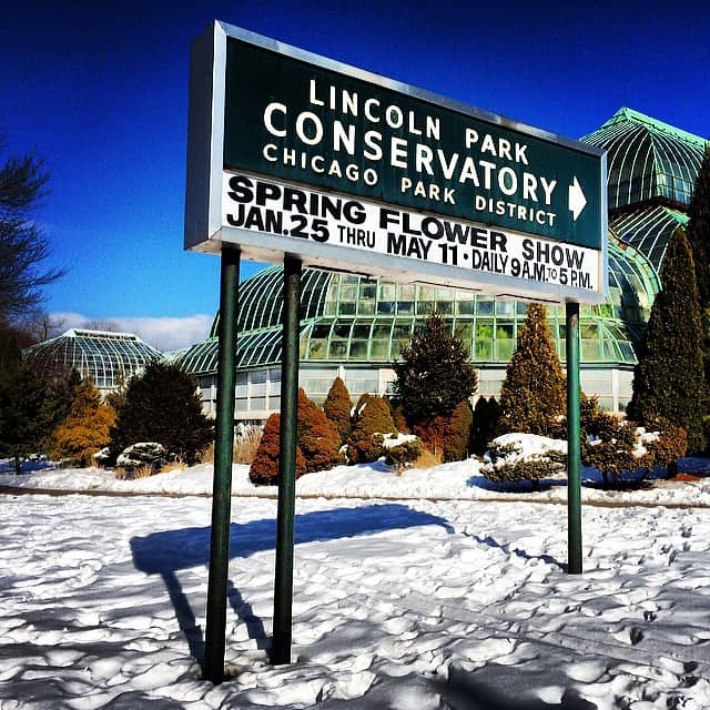 Winter Flower Show