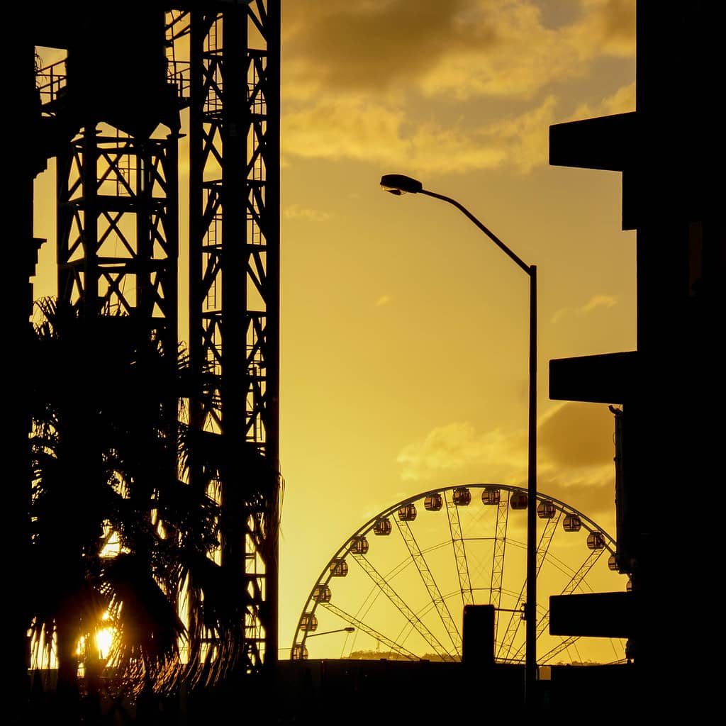 Sunset Spectacle