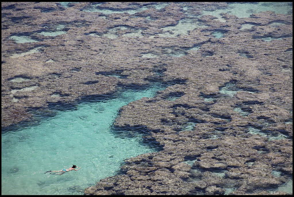 Snorkeling Adventures