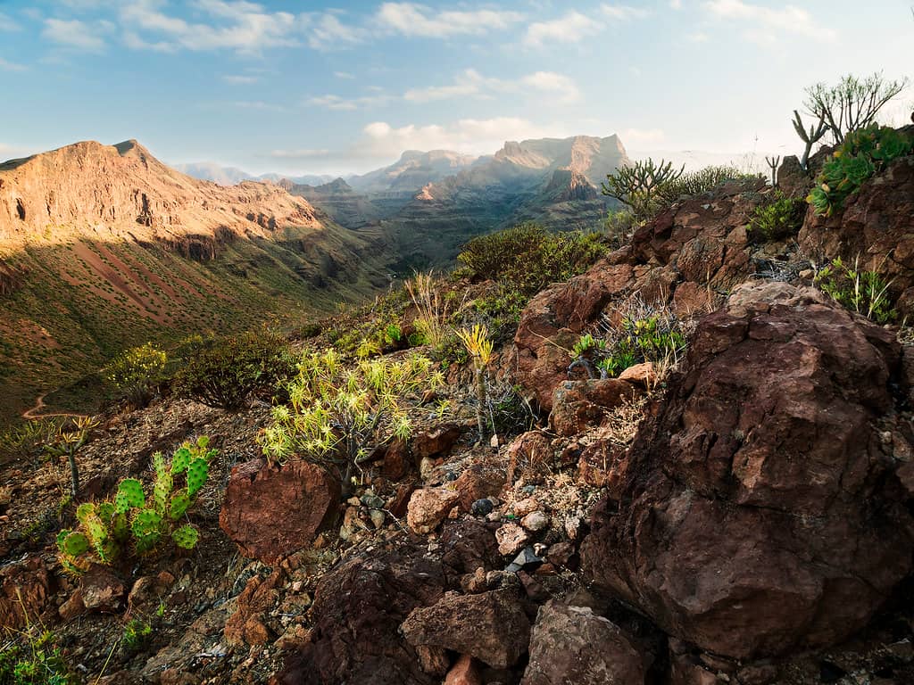 Mountain Vistas