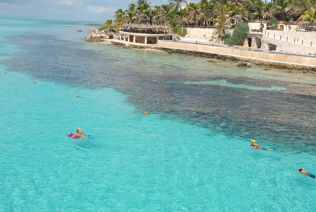 Snorkeling Opportunities