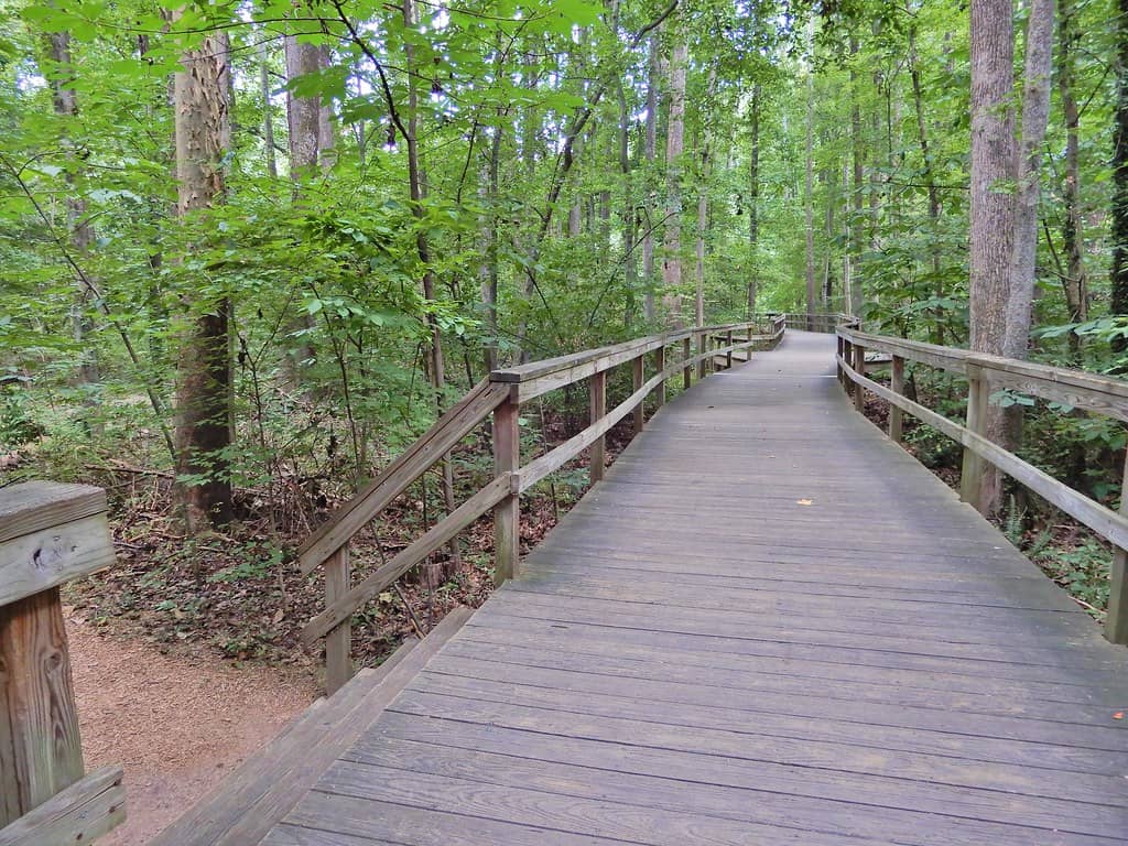 Elevated Boardwalks