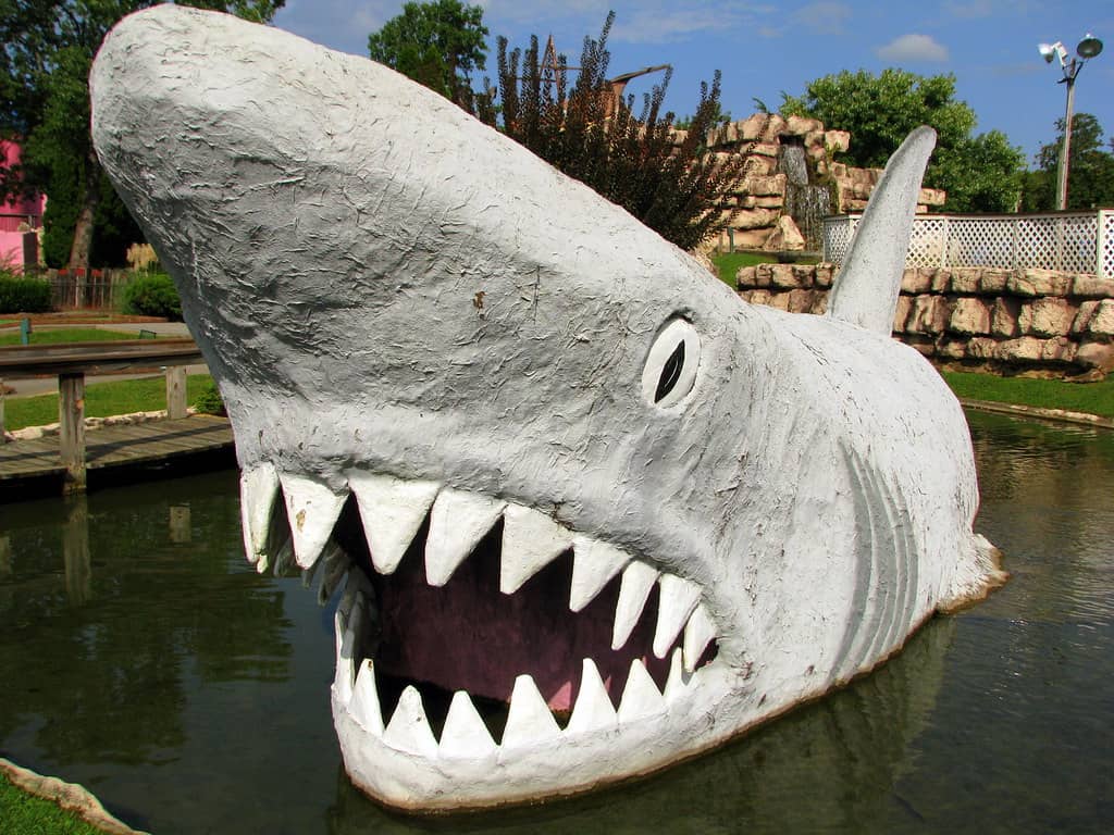 Mini Golf
