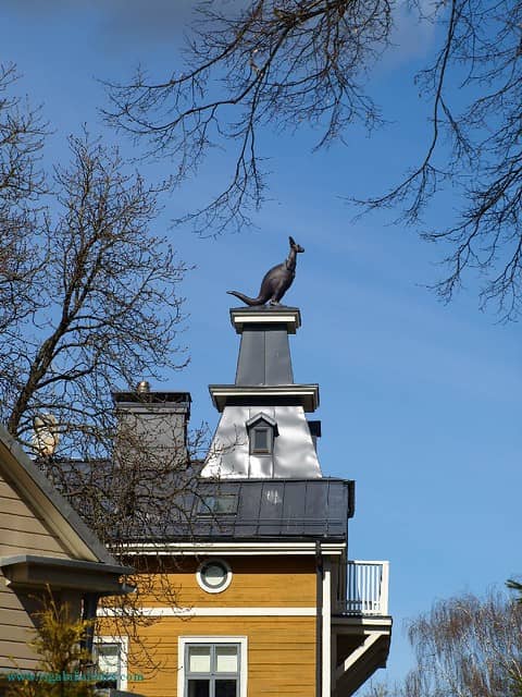 Kangaroo on the Roof