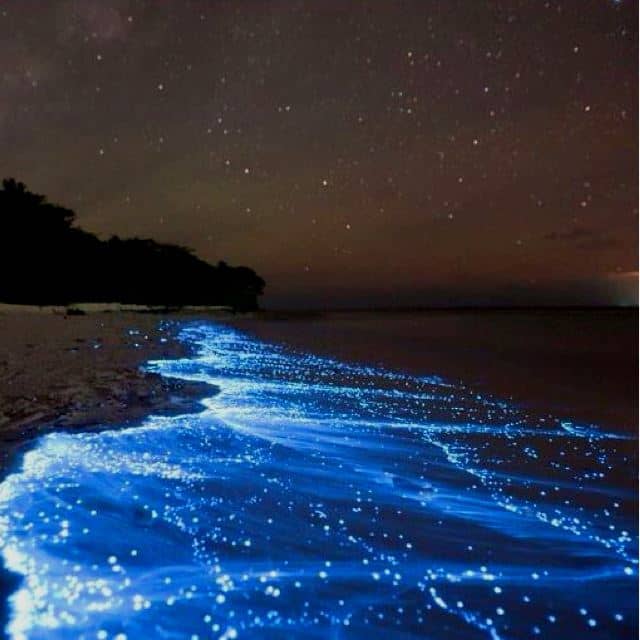 Pristine Island Shores