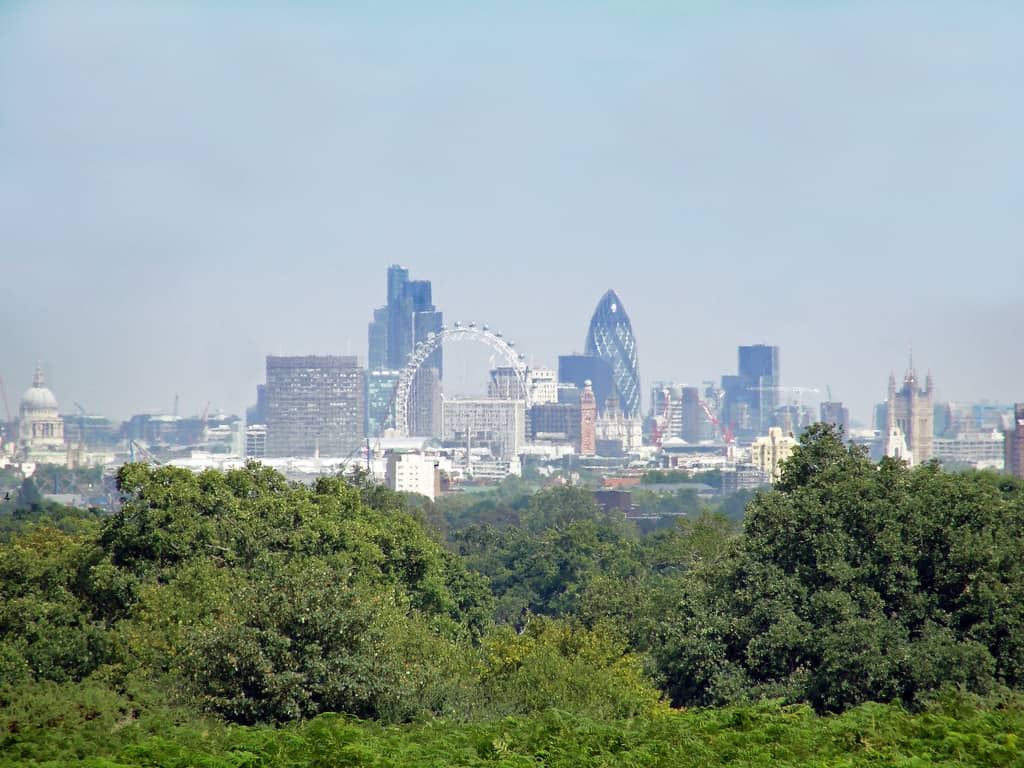 Richmond View Point