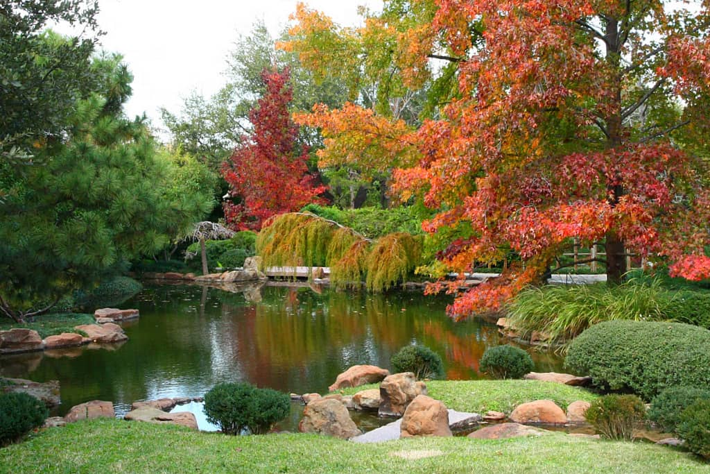Autumnal Hues