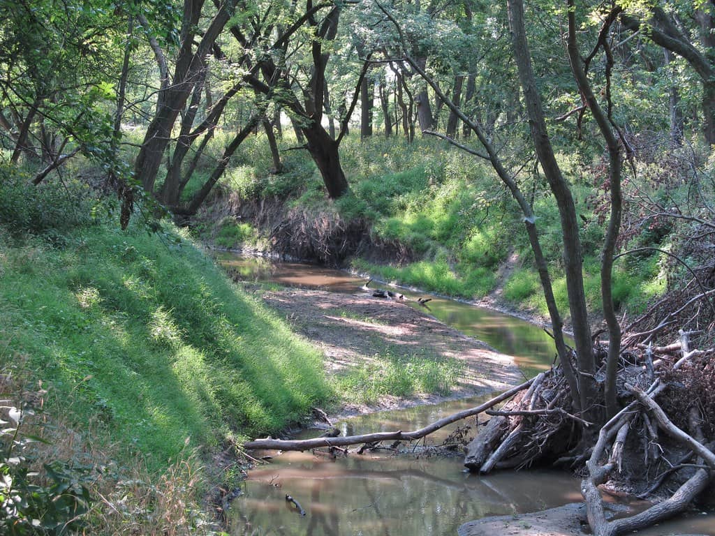 Nature Trails