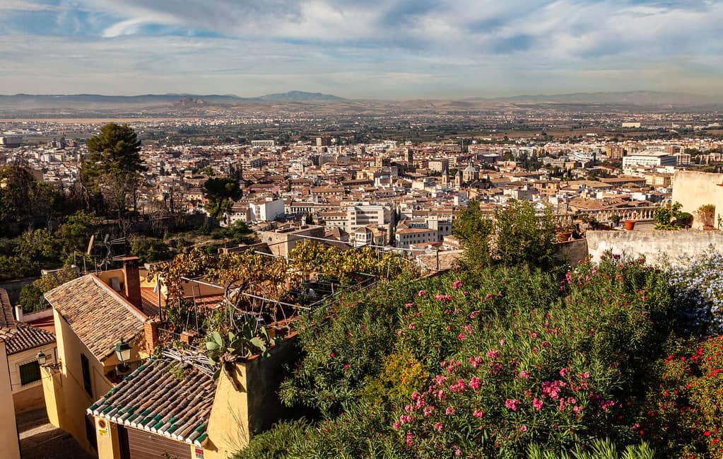 Panoramic City Views