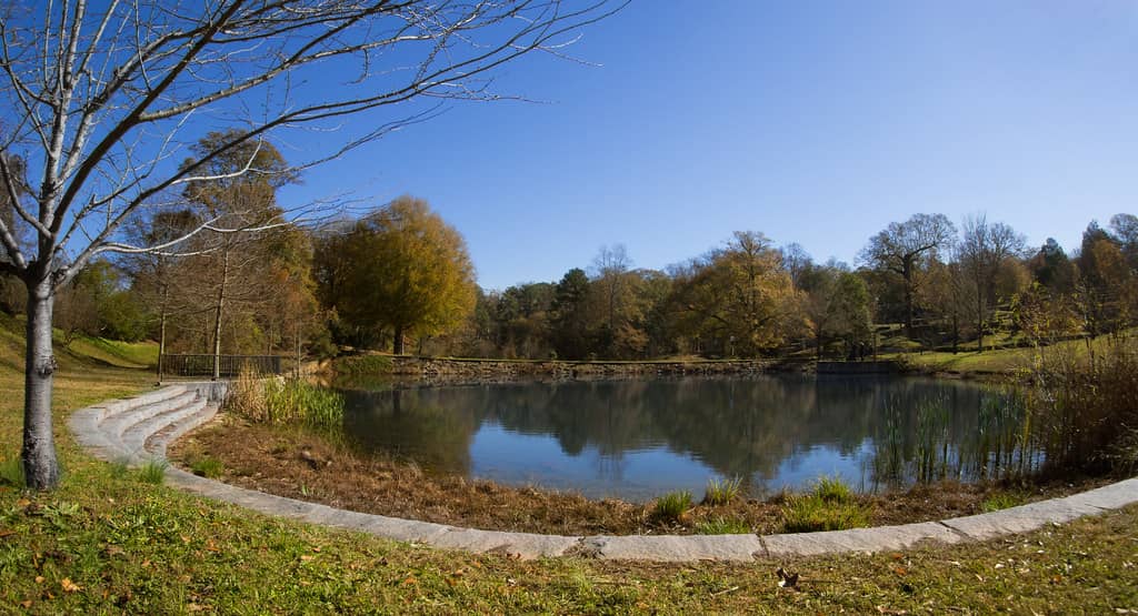 Peaceful Pond