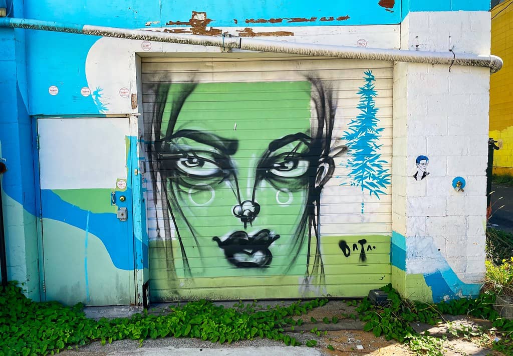 Hidden Laneway Art