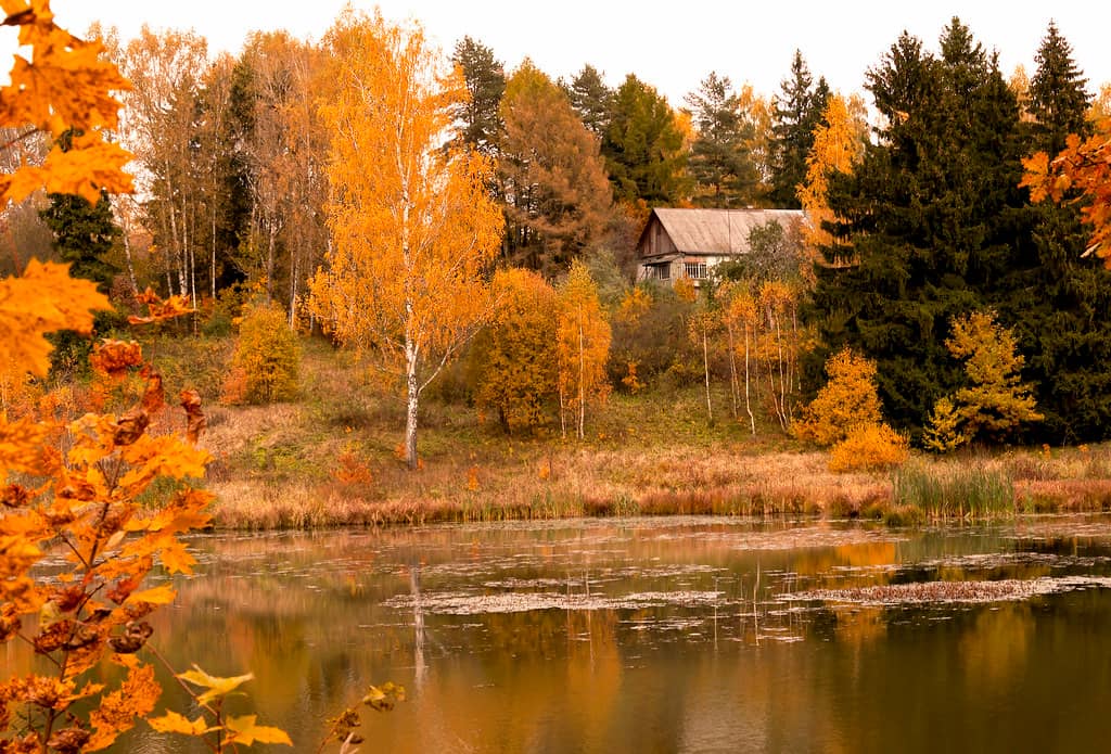 Picturesque Vorya River