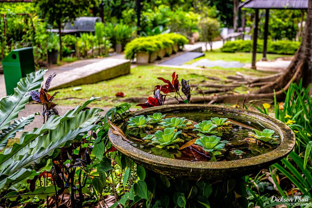 HortPark