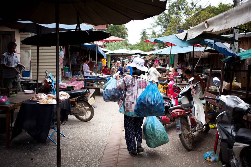 Authentic Lao Snacks