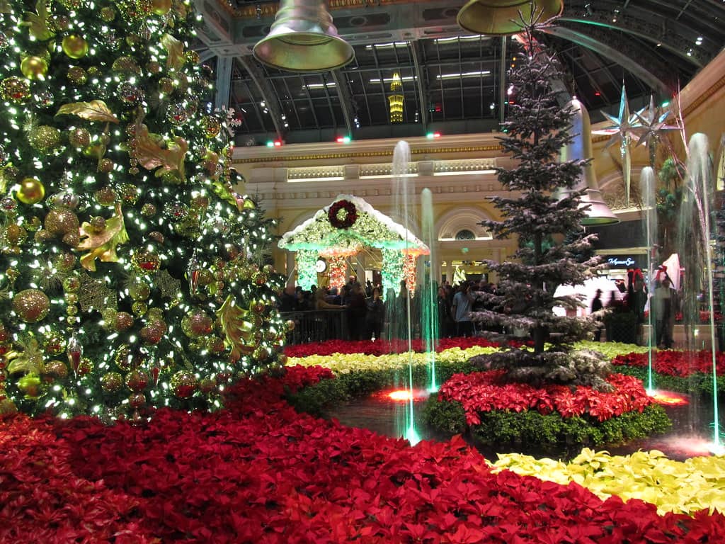 Enchanting Christmas Installations
