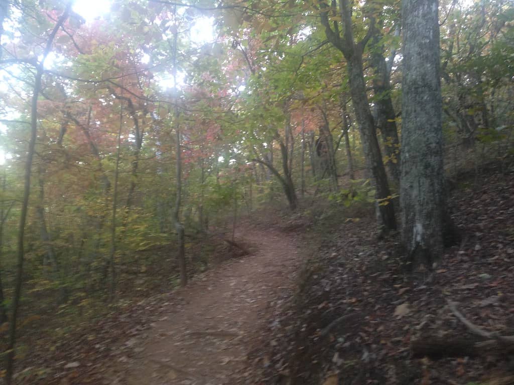 Hiking Trails