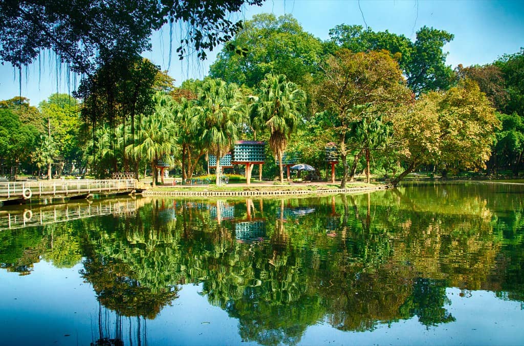 Peaceful Green Oasis