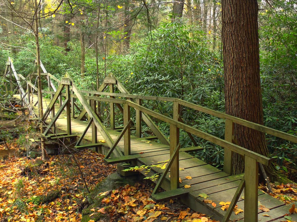 Diverse Hiking Trails