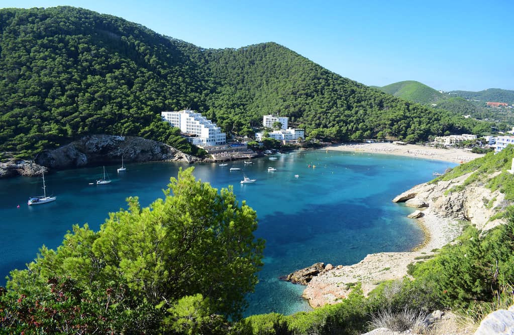Scenic Coastal Walks