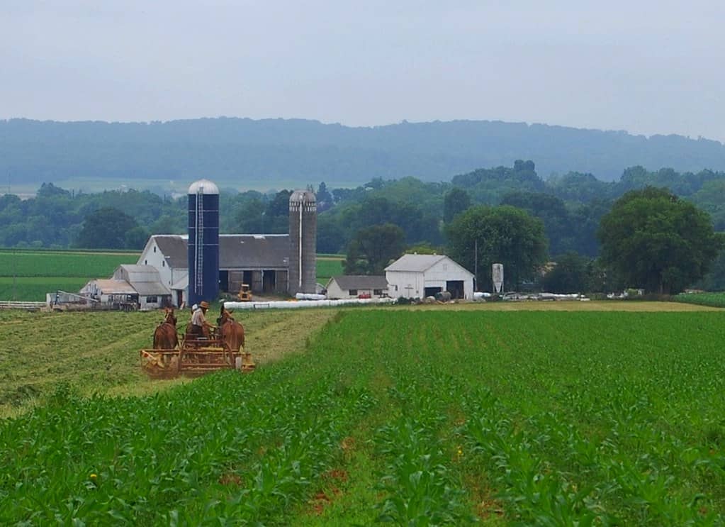 Idyllic Amish Countryside